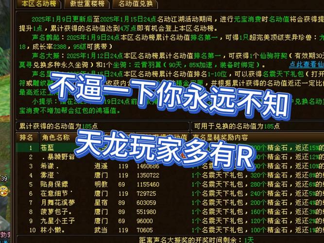 天龙私服发布网：平台众多，选择困难且问题探讨