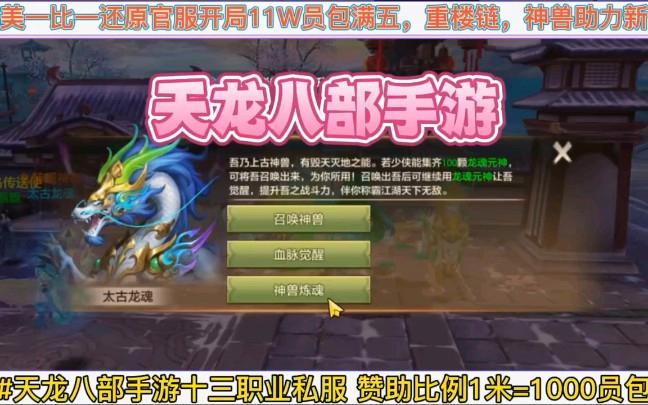 天龙私服：深入剖析非官方授权，玩法特色与风险机遇并存